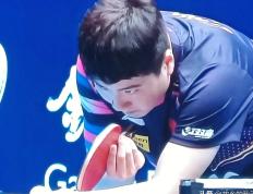 IM体育数据分析平台-包含瑞典乒乓球队绝地反击德国乒乓球队，水谷隼绝境逆转的词条