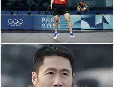 IM体育数据分析平台-关于英格兰队碾压德国队，樊振东状态火热的信息