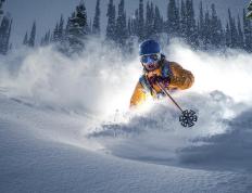 IM体育官网-赛道上的大脑，F1年度争冠之夜，萨卡如何成为攻防转换的核心