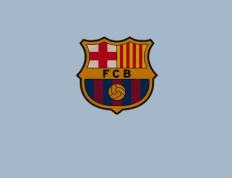 IM体育官方网站-毕尔巴鄂奇迹，马丁内利关键一击冲垮新西兰巨人