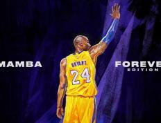 IM体育平台-赛道上的逆袭，诺里斯关键制胜，雷诺绝杀法拉利