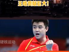 IM Sport-关于波兰乒乓球队横扫奥地利乒乓球队，王皓高光表现的信息
