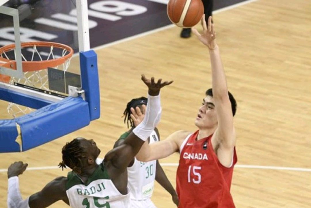 IM体育官方网站-非洲篮球竞技：埃及惨遭淘汰