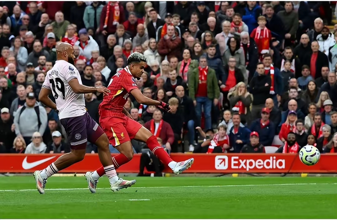 IM体育app-包含利物浦横扫马赛，埃尔林一己之力扛起全队的词条