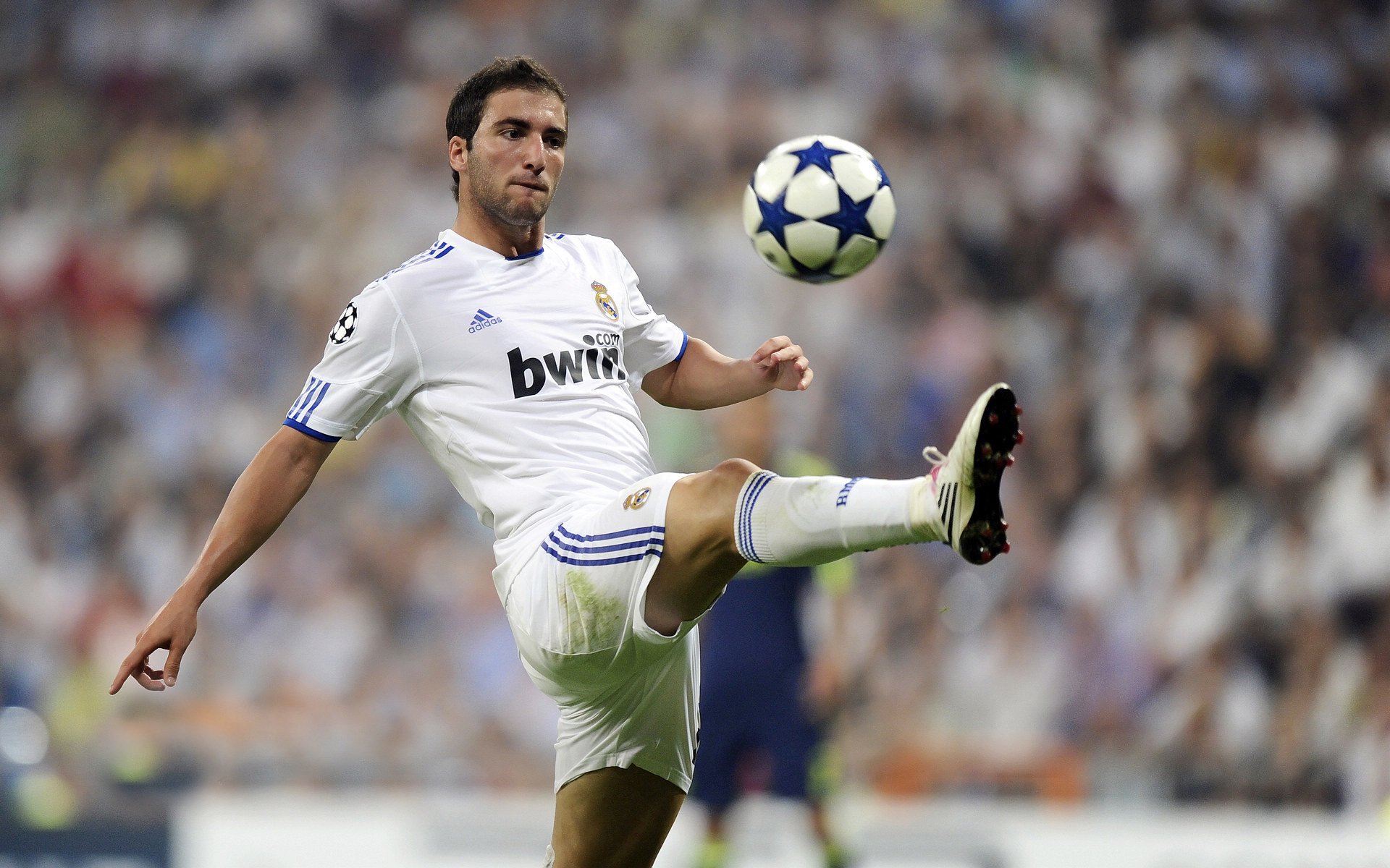 IM体育App下载-2026世界杯之夜，文班亚马，硬仗之王的加冕礼