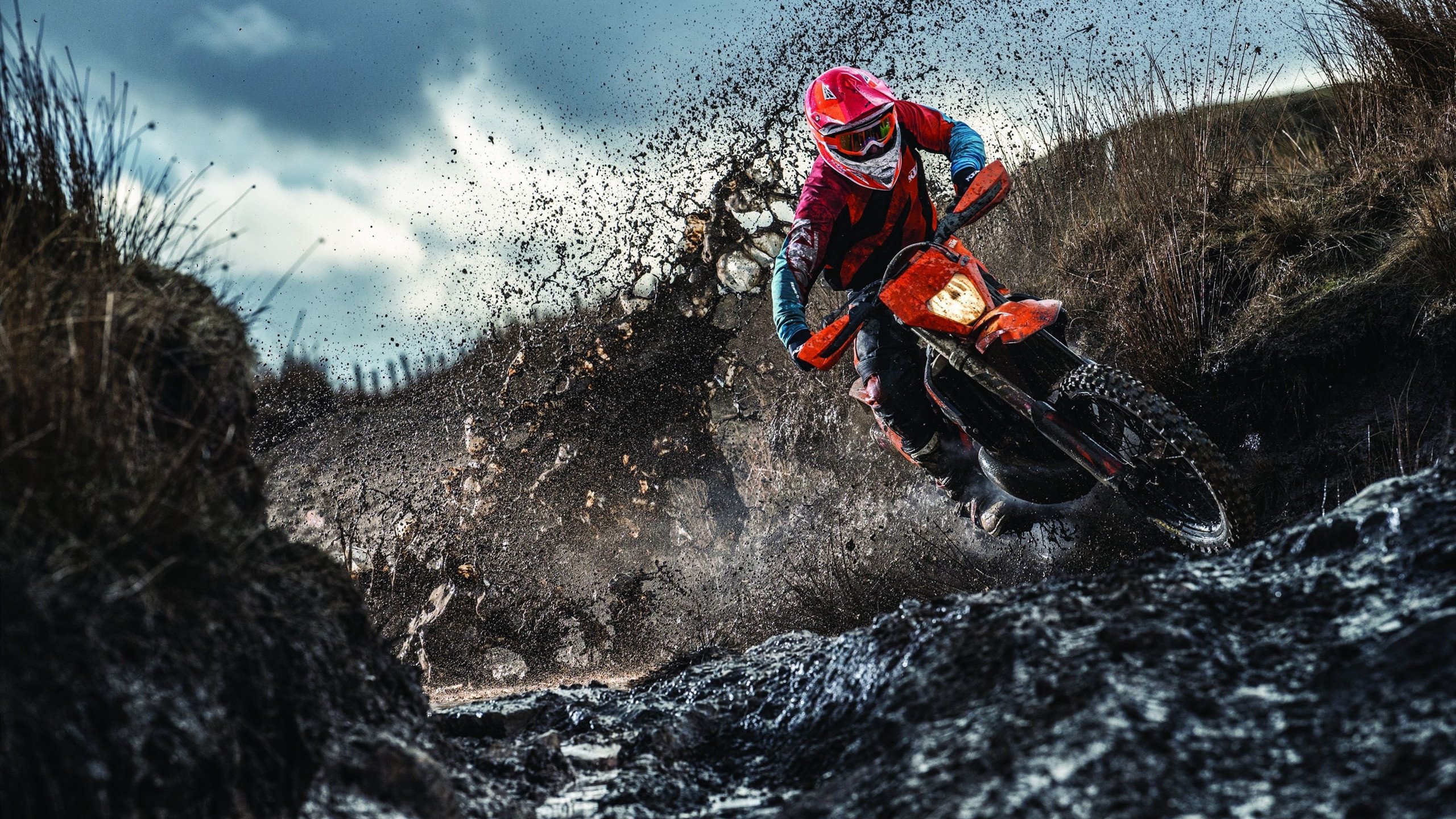 IM体育网页版登录入口-舞台越大越强！布伦森率公牛掀翻灰熊，证明巨星成色